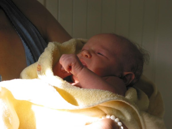 Click for the original image